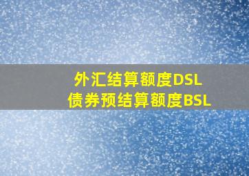 外汇结算额度DSL 债券预结算额度BSL